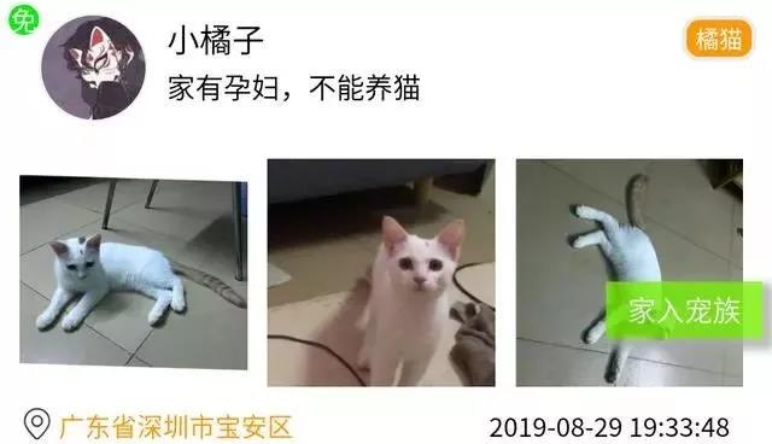 寵物(wù)商店(diàn)小(xiǎo)程序,無錫守護科技有限公司