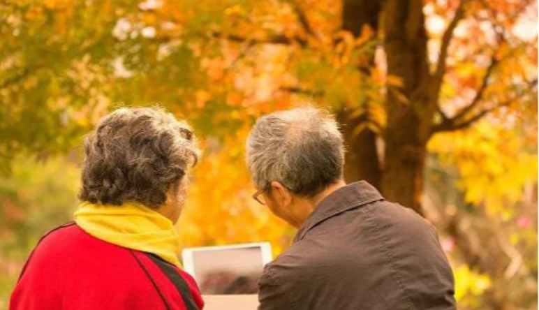 智慧養老(lǎo)系統組成|智慧養老(lǎo)解決養老(lǎo)需求